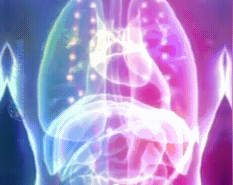 2.gif