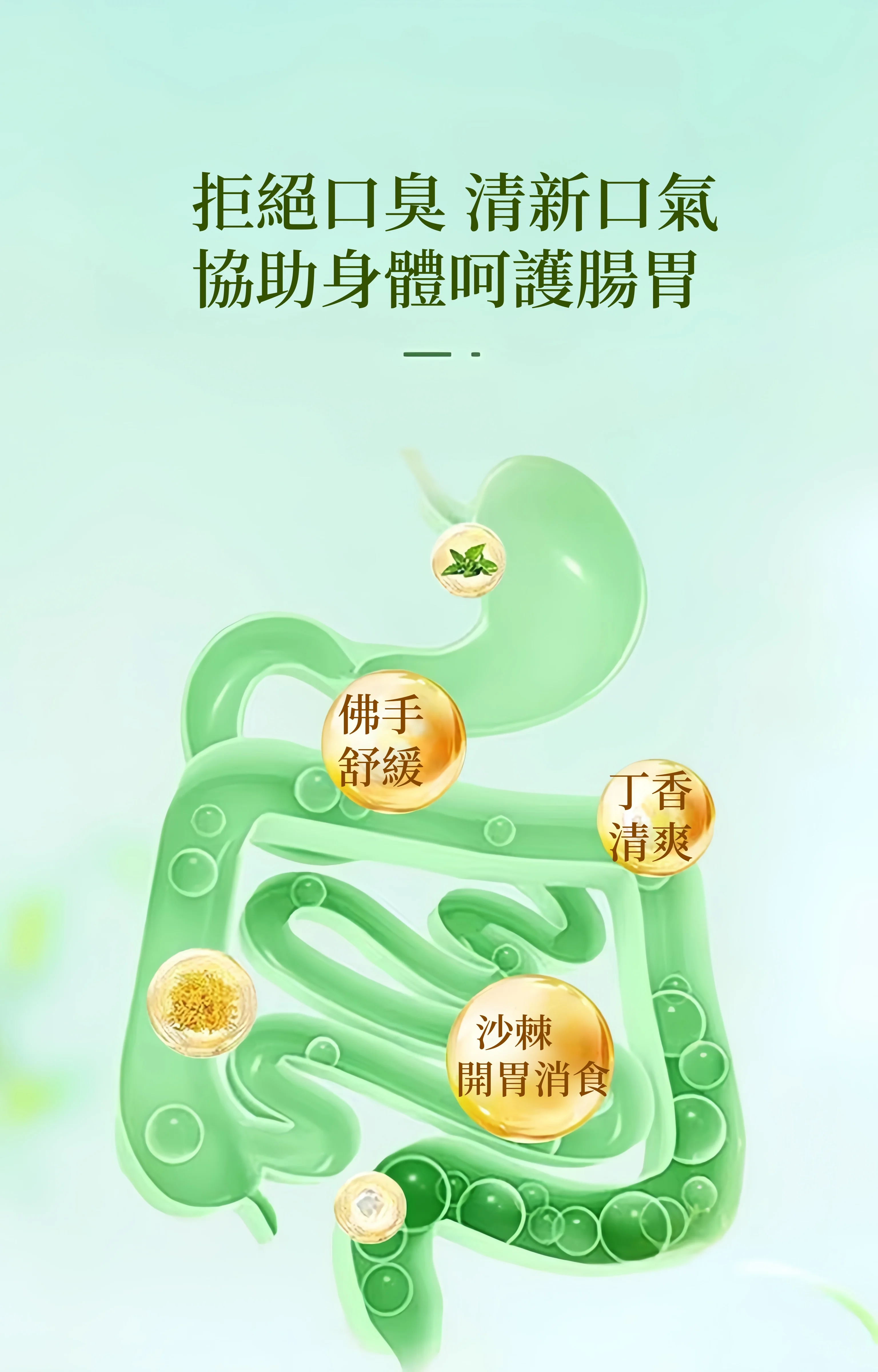 1781253269414641.webp
