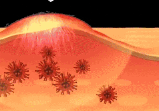 1781492803814489.gif