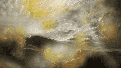 1781610699160214.png