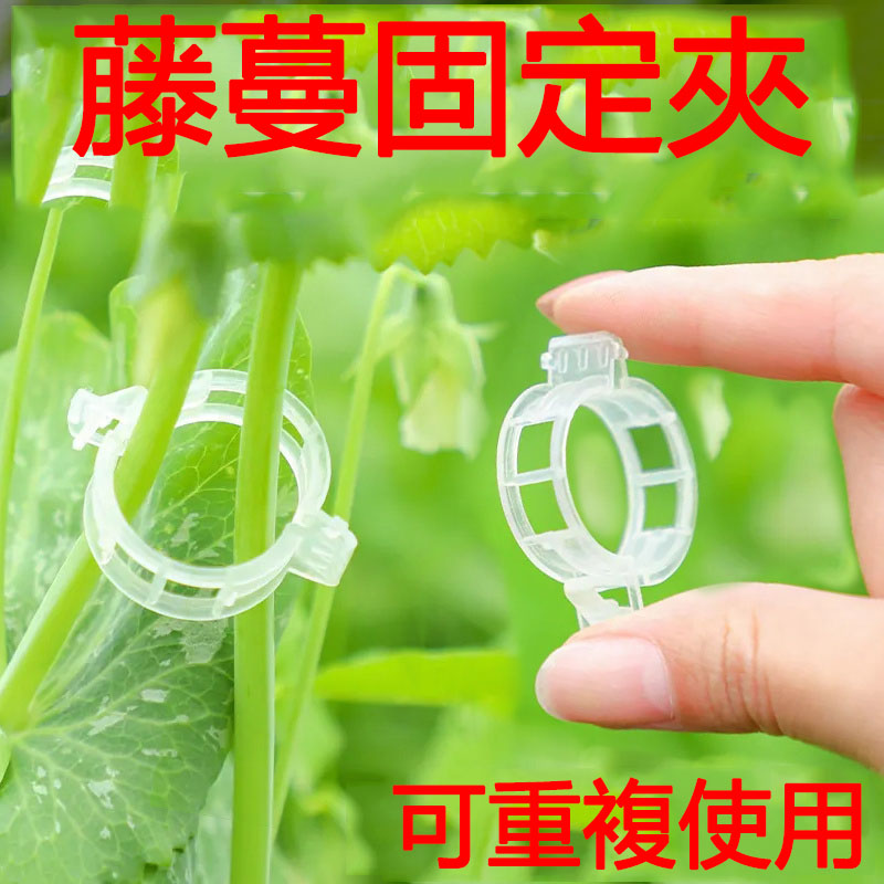 蔓藤夾植物瓜果植物夾塑料綁蔓夾綁枝夾吊蔓夾扶蔓夾蔓藤固定夾 蔓藤夾植物瓜果植物夾塑料綁蔓夾綁枝夾吊蔓夾扶蔓夾蔓藤固定夾